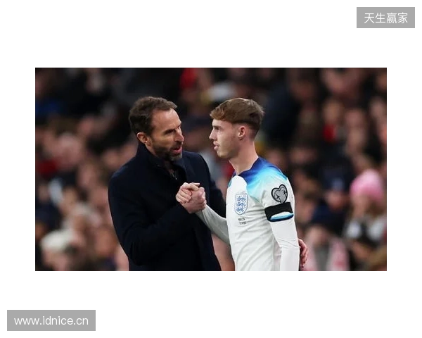 图赫尔谈10号位：一阶段考察帕尔默&福登；二阶段贝林&罗杰斯